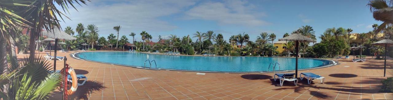 Spagnolo Oasis Tamarindo *
