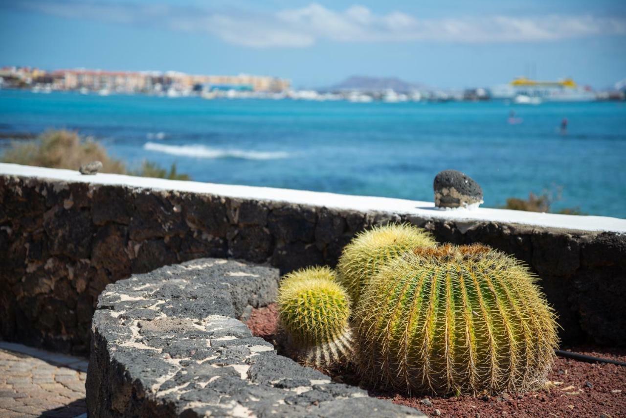 La Golondrina - Froont Corralejo