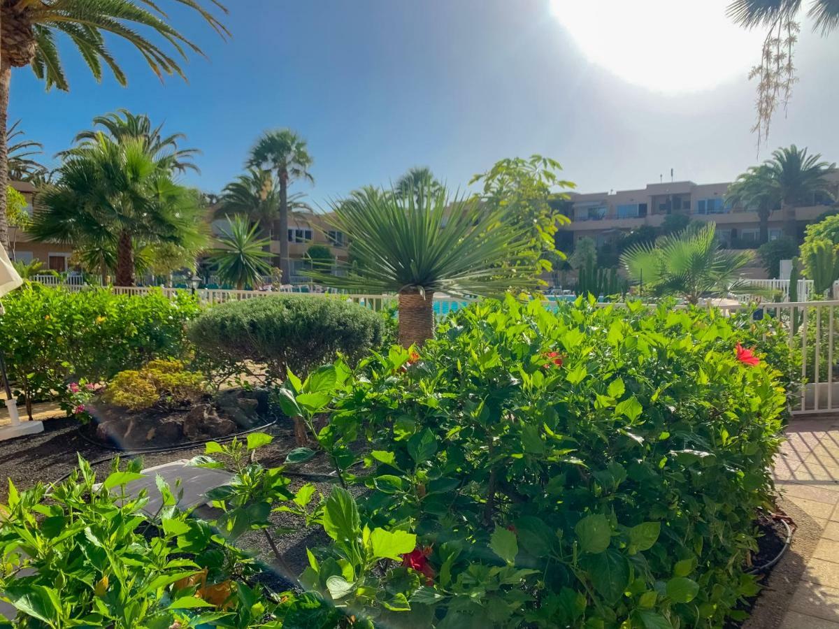Aparthotel La Primera Duna - Residencial Dunas *