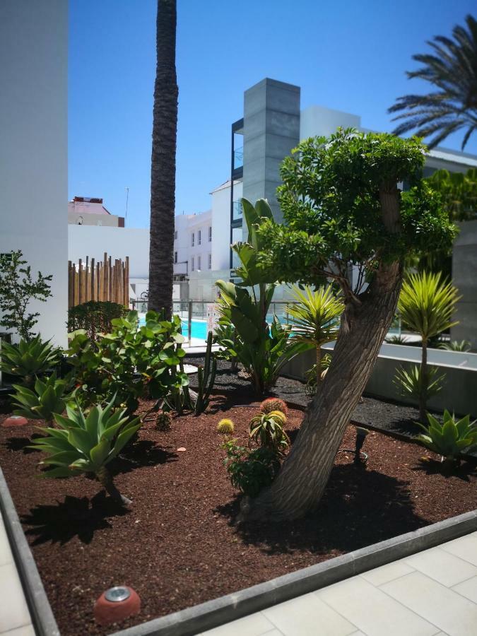 Vista Bristol 50b Apartment Corralejo