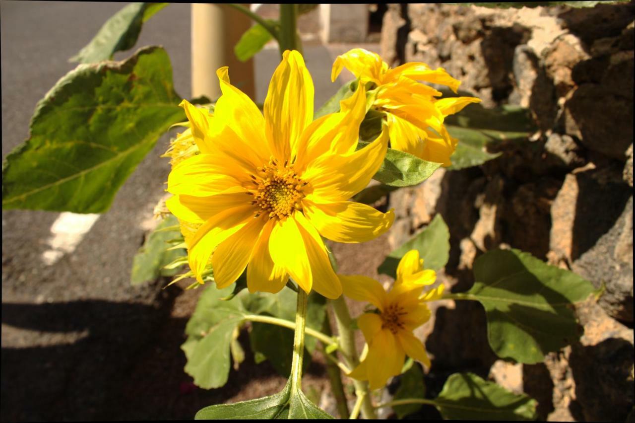 Capellania Corralejo