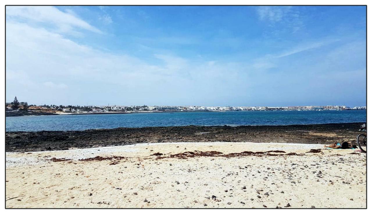 Lur De La Playa Corralejo