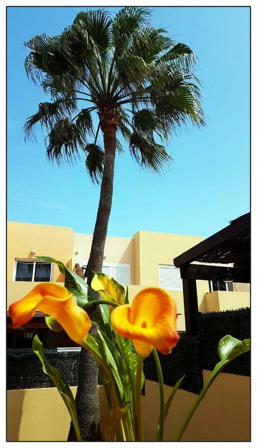 Lur De La Playa Appartement Corralejo