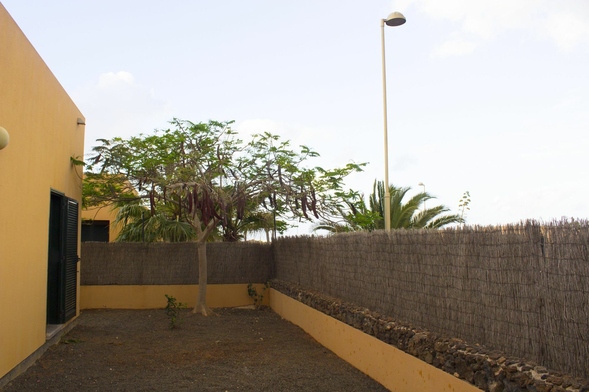 Volcanic Corralejo