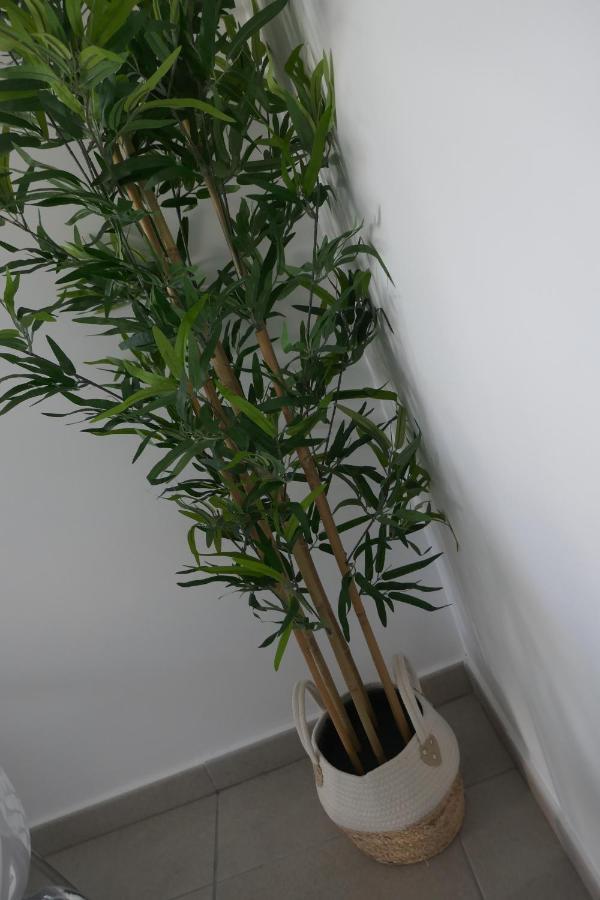 Sun 312 Apartment *