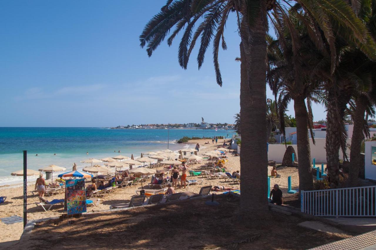 Hoplaco Corralejo