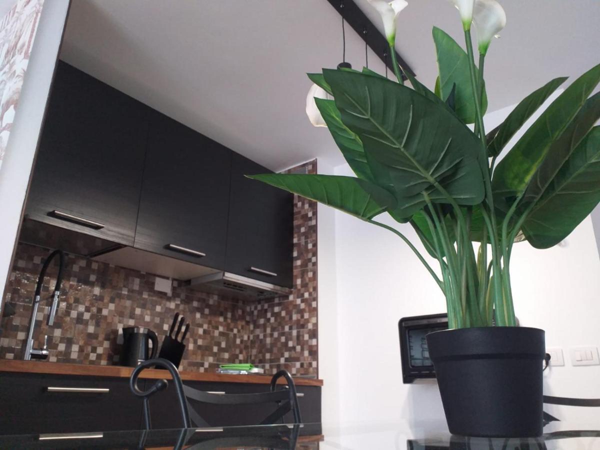 Loft 113 * Corralejo