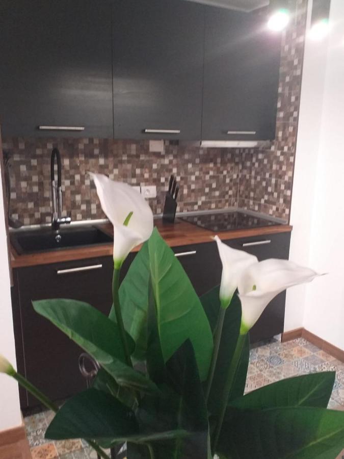 Loft 113 Apartment Corralejo