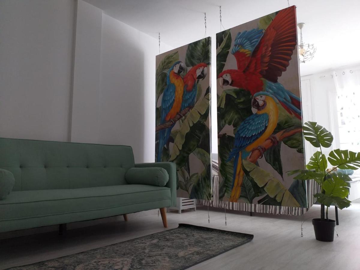 Apartment Tropical Loft *