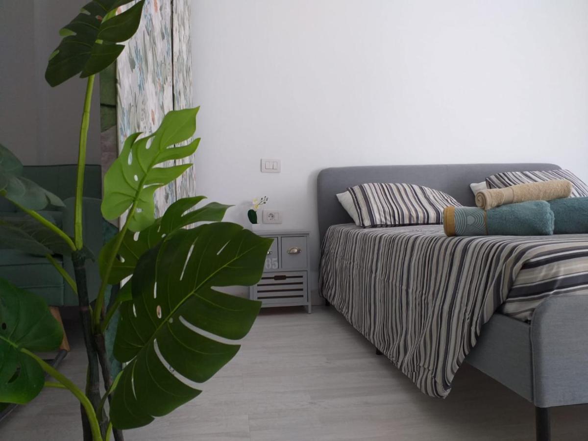 Apartment Tropical Loft