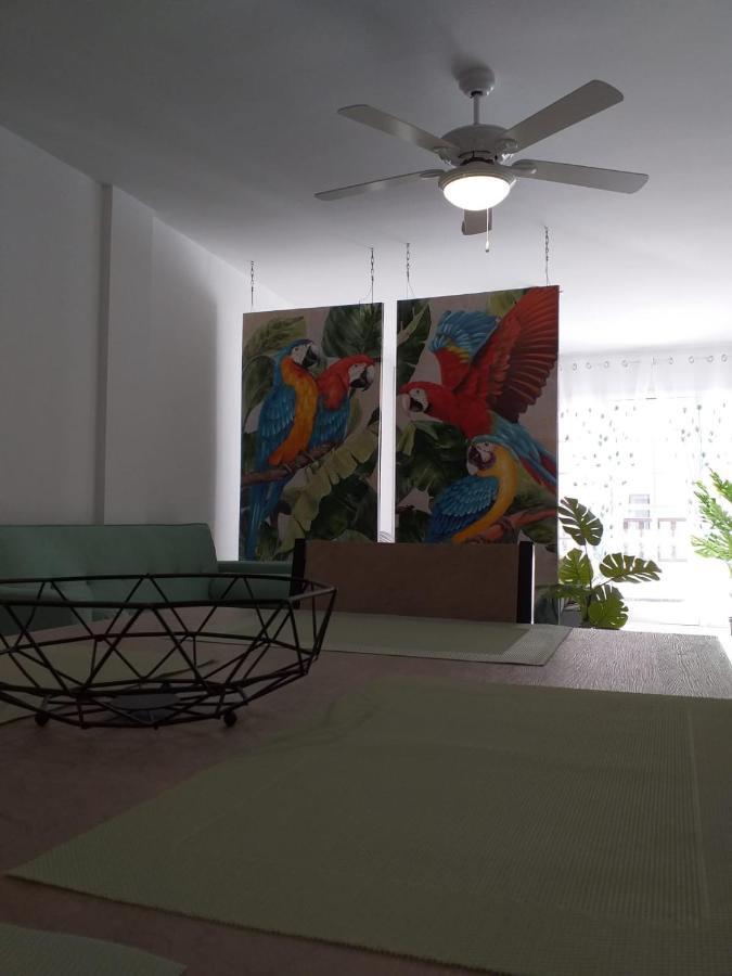 Apartment Tropical Loft *