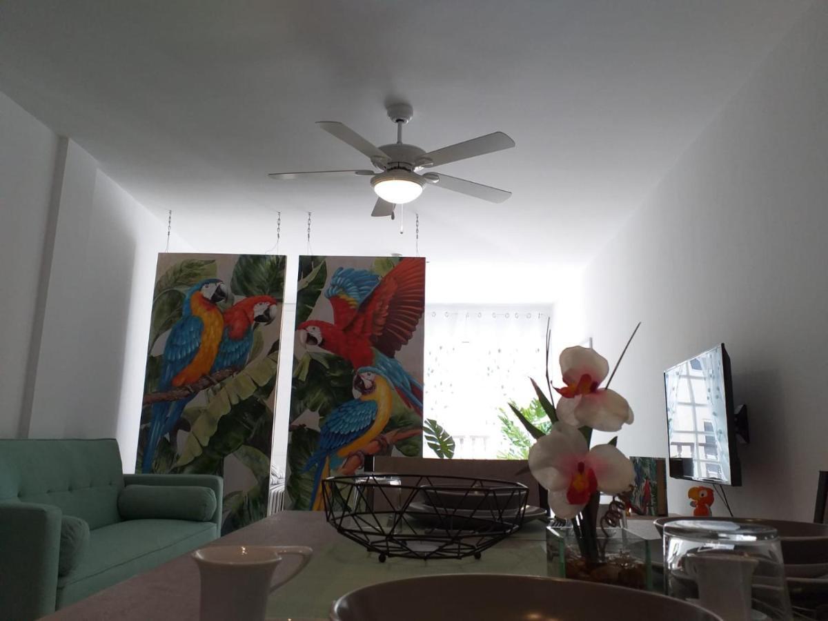 Apartment Tropical Loft *
