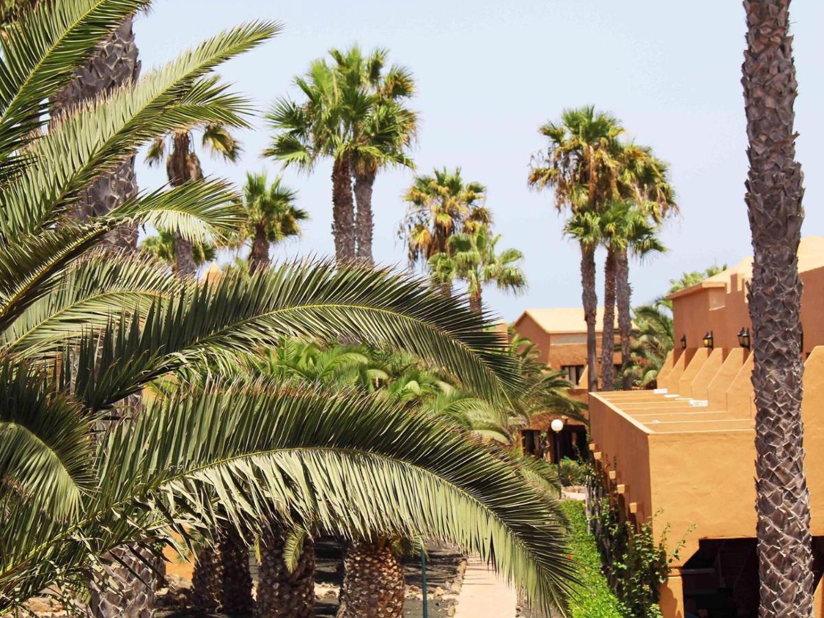 Family With Terrace - Oasis Duna