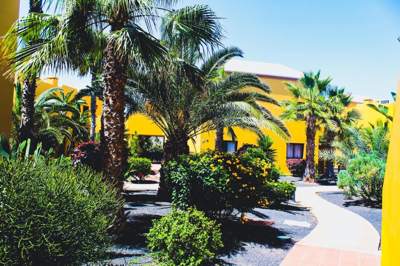 Oasis Fuerteventura Beach 3* Corralejo