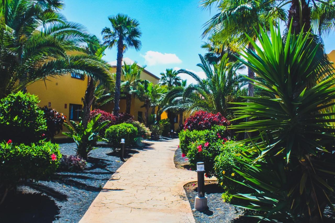 Oasis Fuerteventura Beach 3*