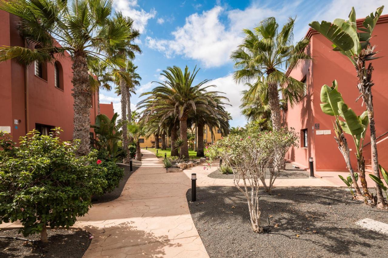 Home2book Oasis Paradise Fuerteventura Appartement