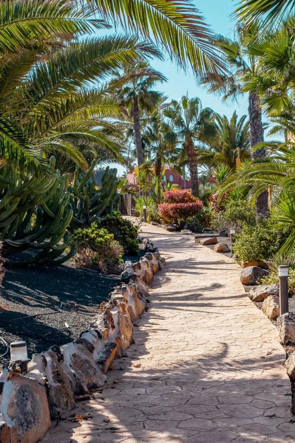 Aparthotel Oasis Fuerteventura Beach 3*