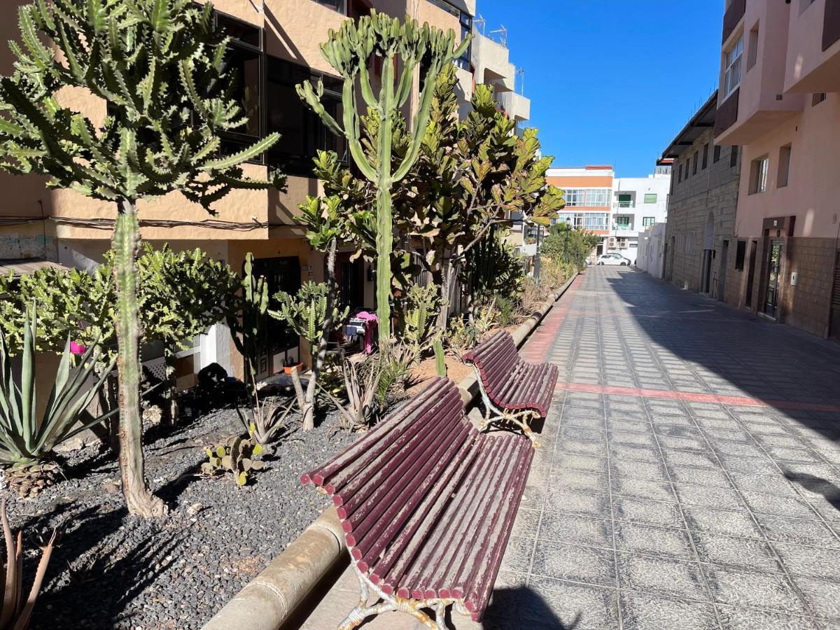 New Center Of 100m By Beaches * Corralejo