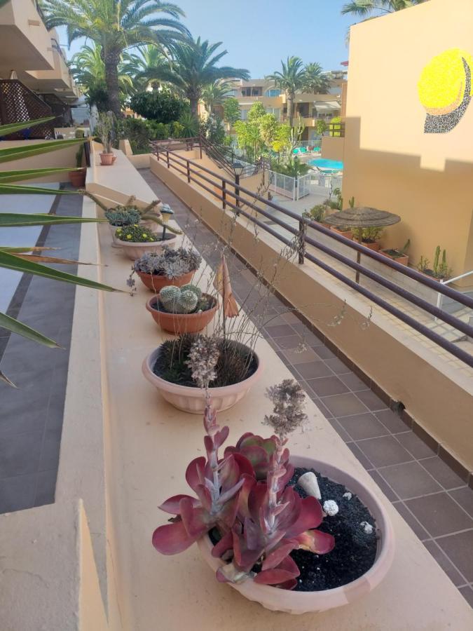 Casa El Nidillo Appartement