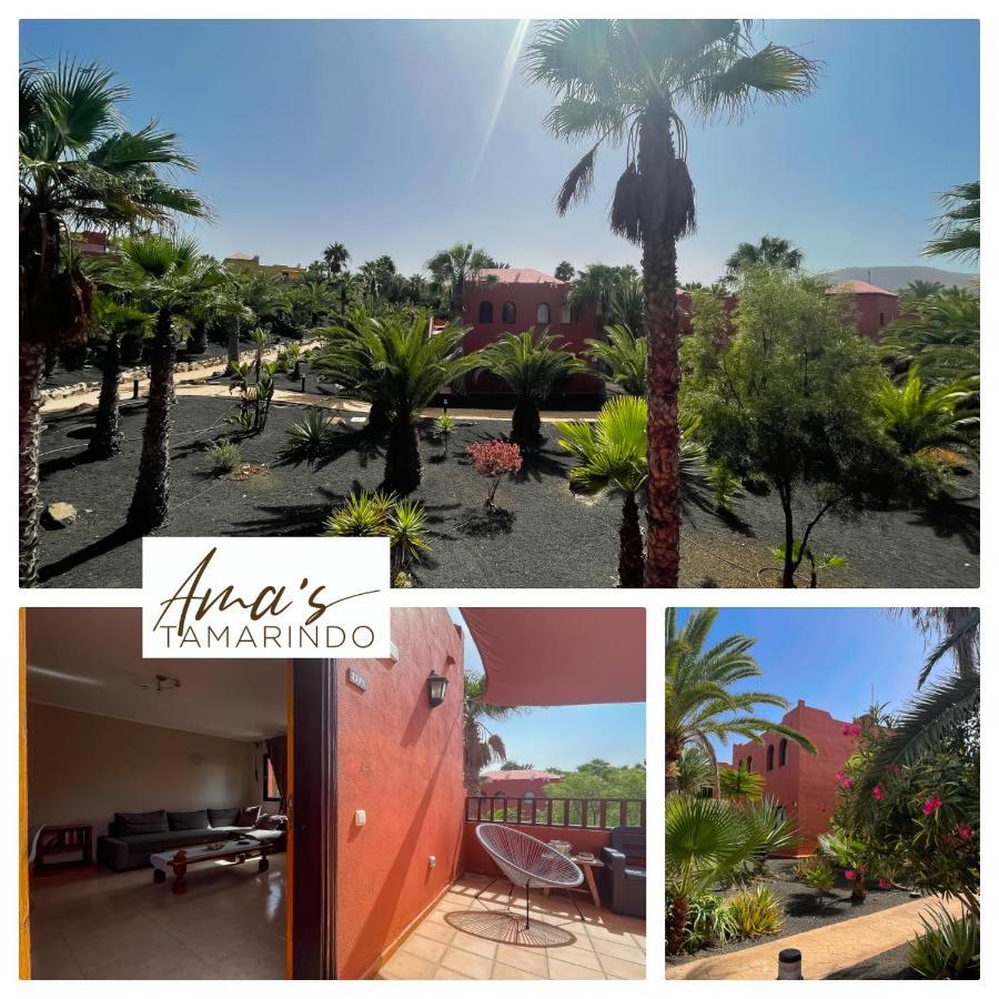 Tamarindo Amas By Rentalfue Appartement Corralejo