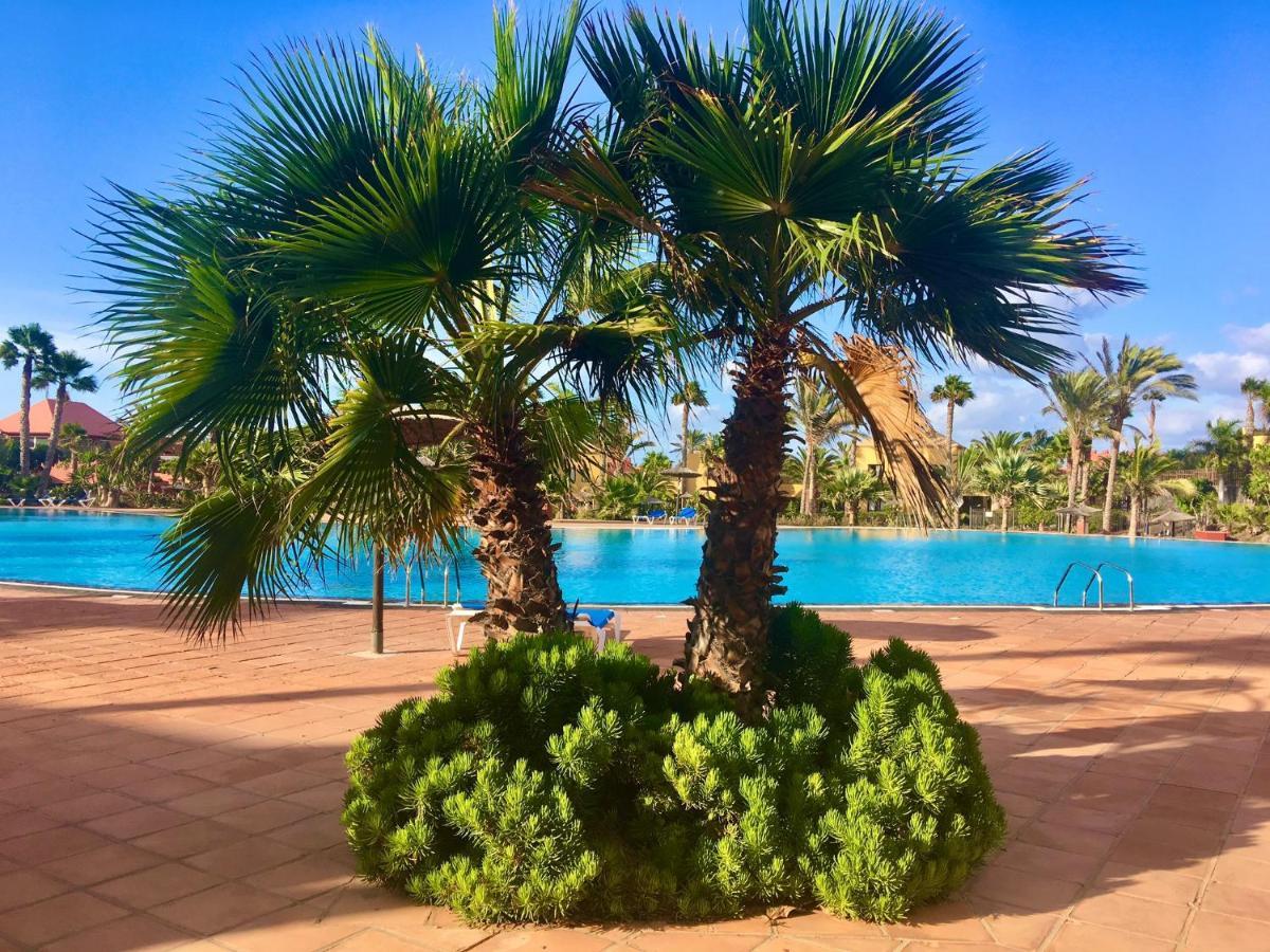 Apartment Fuerteventura Harmony *