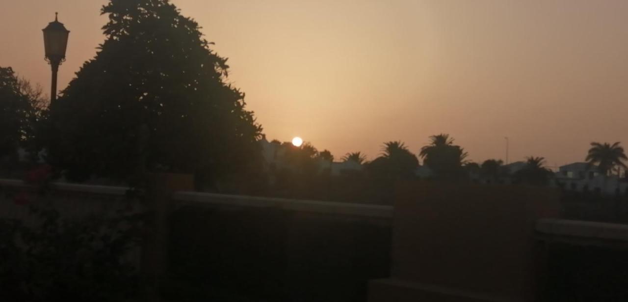 Amarillo Sun *