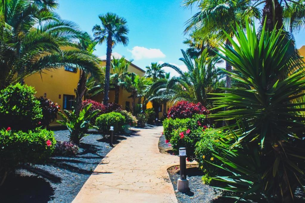 Oasis Tamarindo 1 - - Casa Rosa - 2 Appartement *