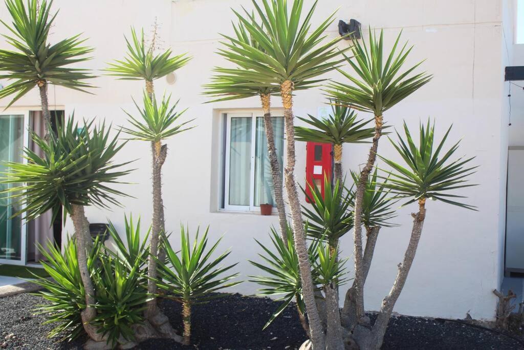 Pachi Alisios Playa Apartment Corralejo