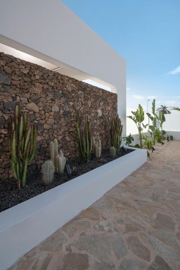 Noma - Design Space With Pool In *