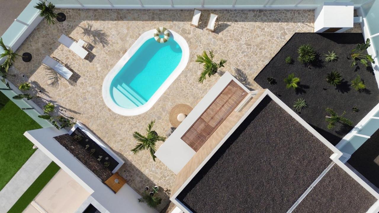 Noma - Design Space With Pool In *