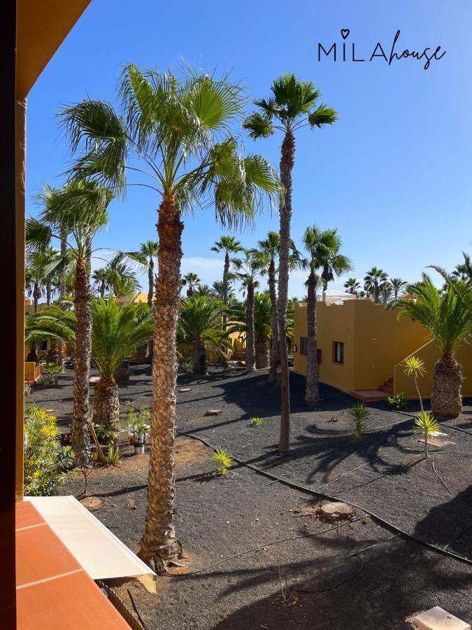 Amazing Oasi Casa Mila Wifi Free By Rentalfue Apartment