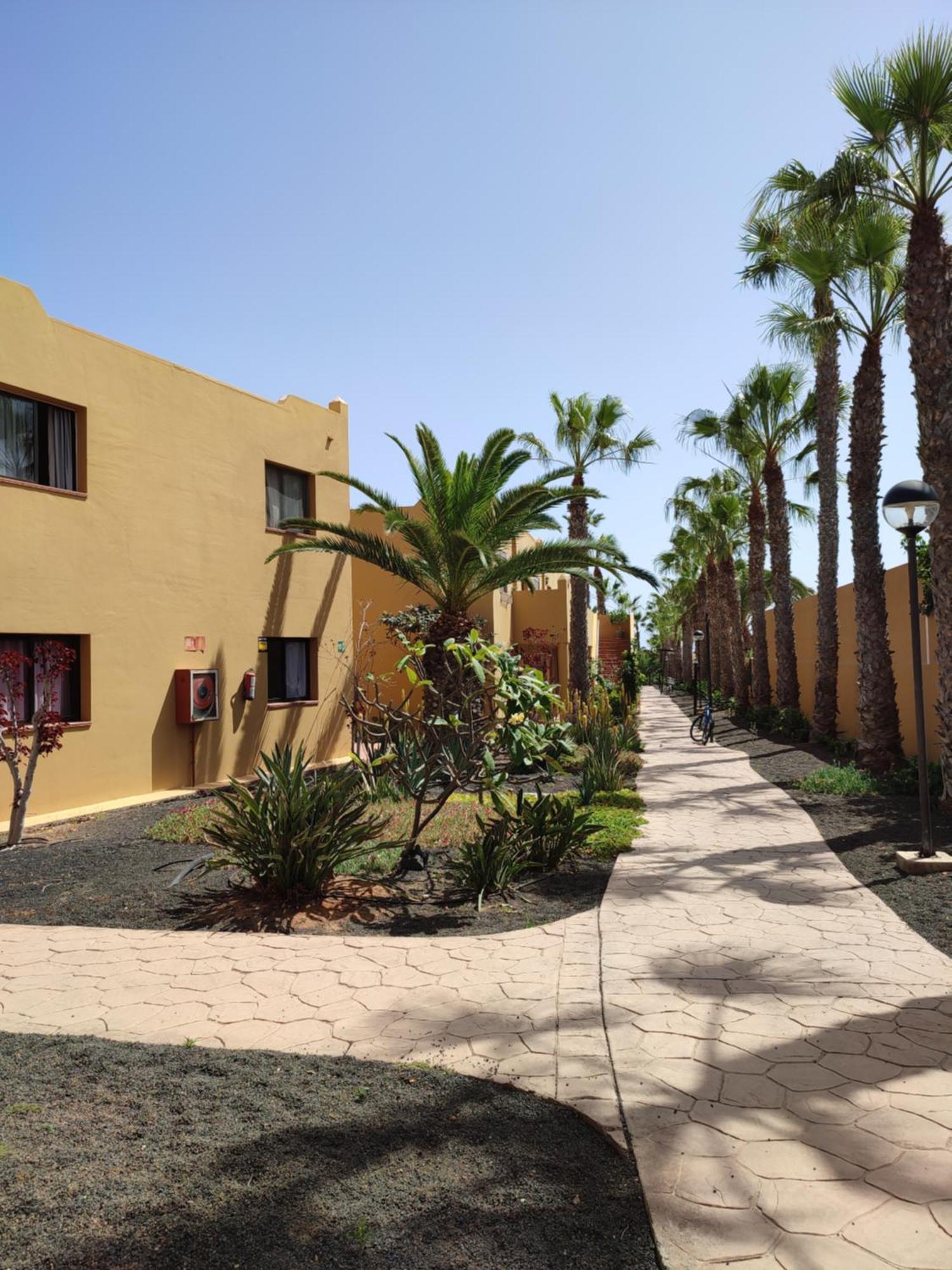 Casa Papagayo *
