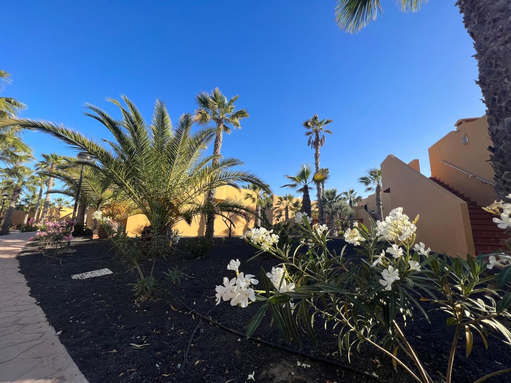 Casa De Leon Apartment Corralejo
