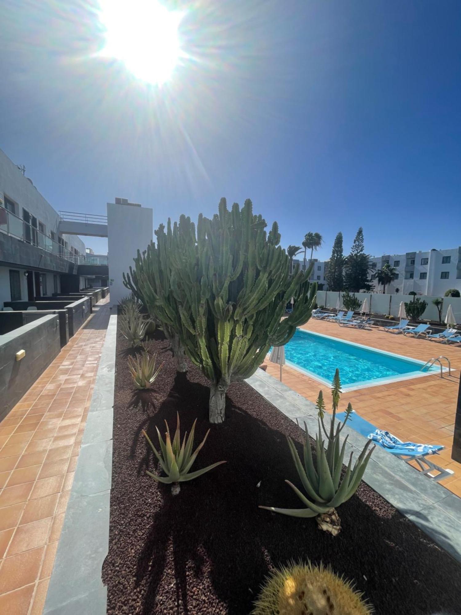 Apartment Sunrise Corralejo