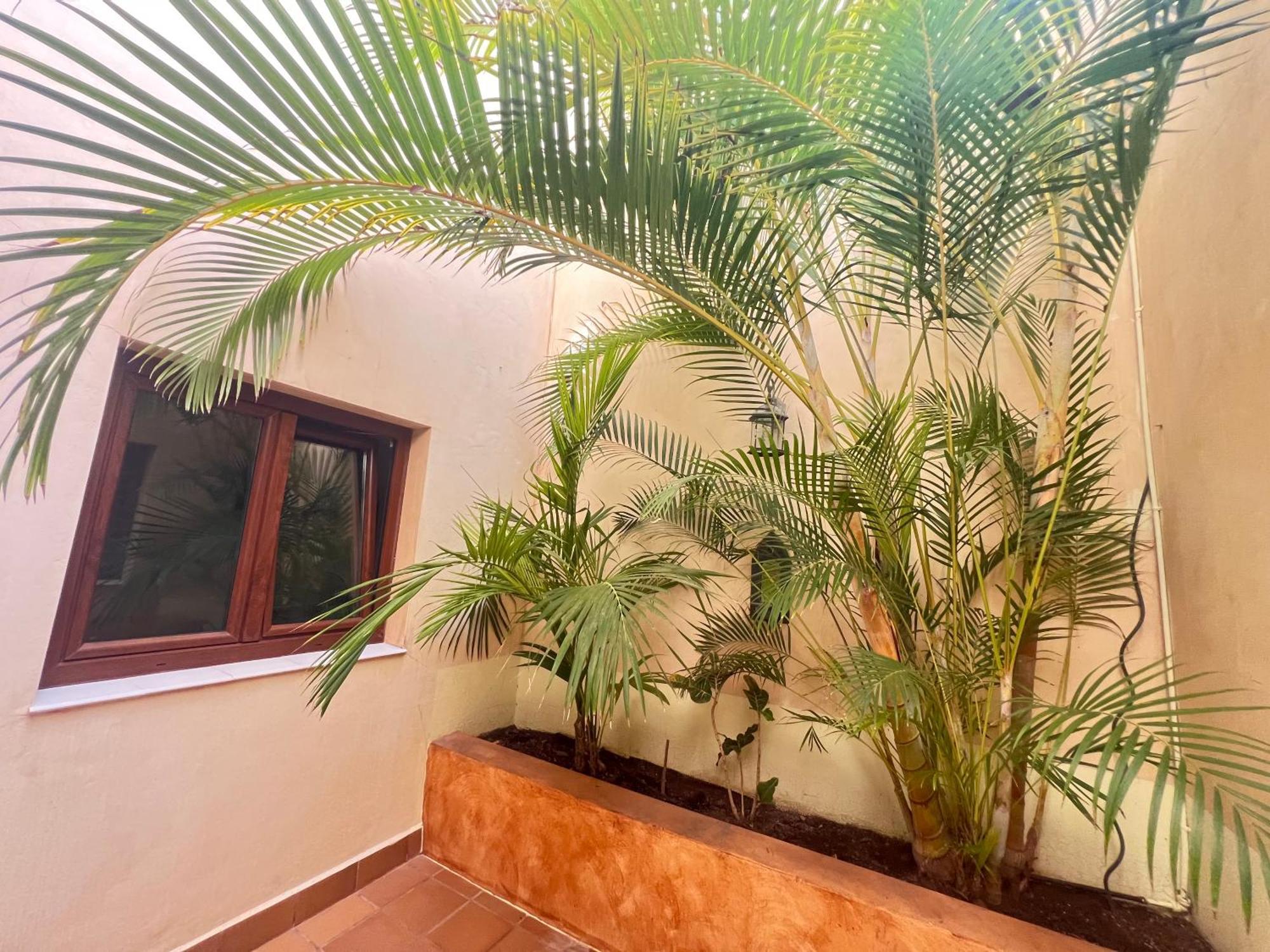 Tinajas Penthouse Views * Corralejo