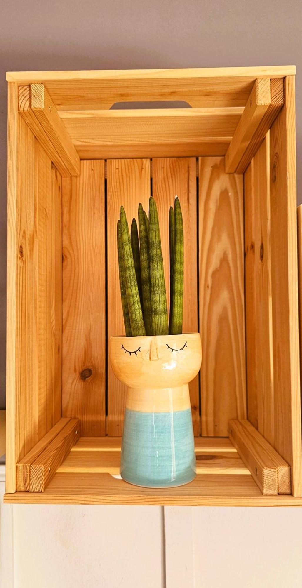 Apartamento Blue Oasis