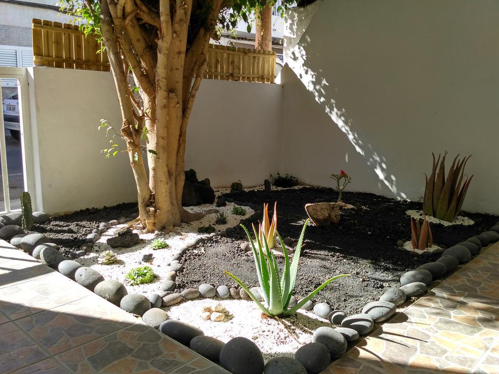 Guest house Greentree House Corralejo